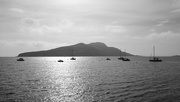 1st May 2026 - The Island