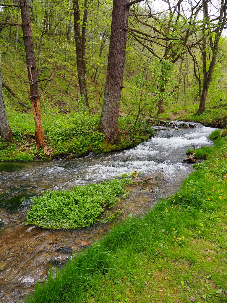 Twin Springs Winneshiek county Iowa by vlc
