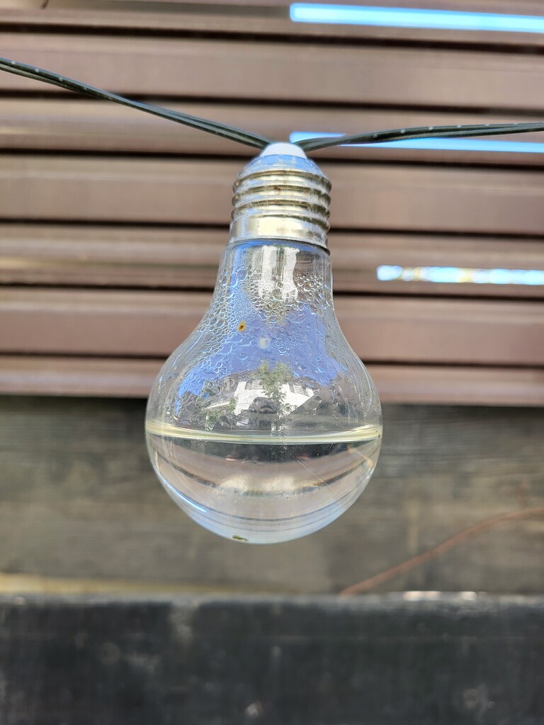Bulb half full by monikozi