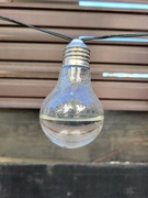 7th May 2026 - Bulb half full