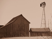 9th Feb 2011 - Windmill Barn