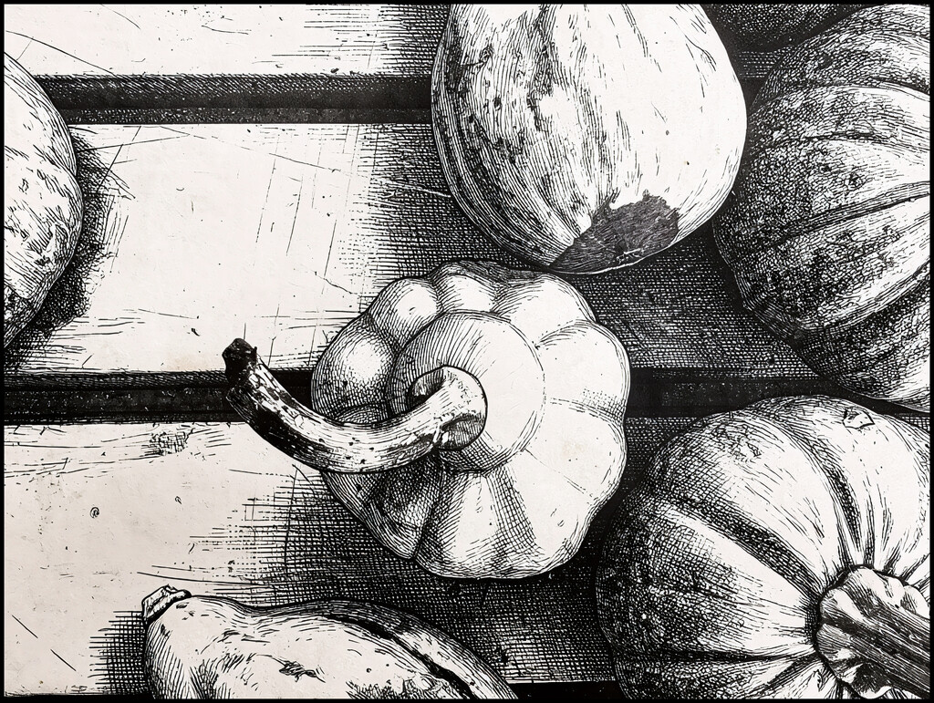 Gourds Galore by olivetreeann