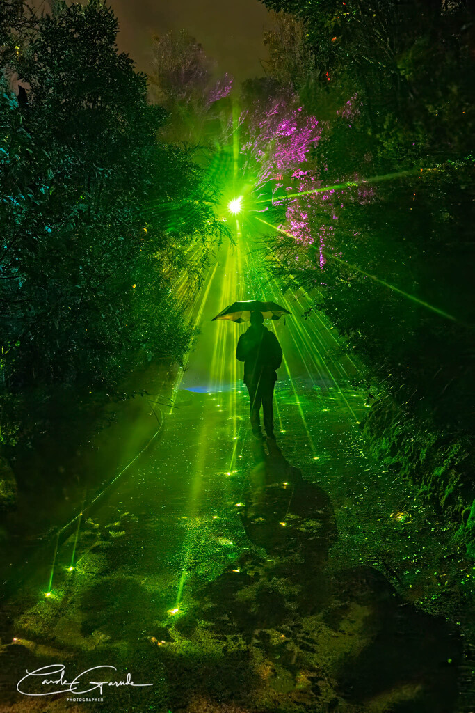 Emerald Rain at Te Puia by yorkshirekiwi