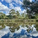 Blackburn Lake Sanctuary 