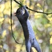 Full stretch by wakelys