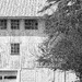 Doors And Windows  by digitalrn