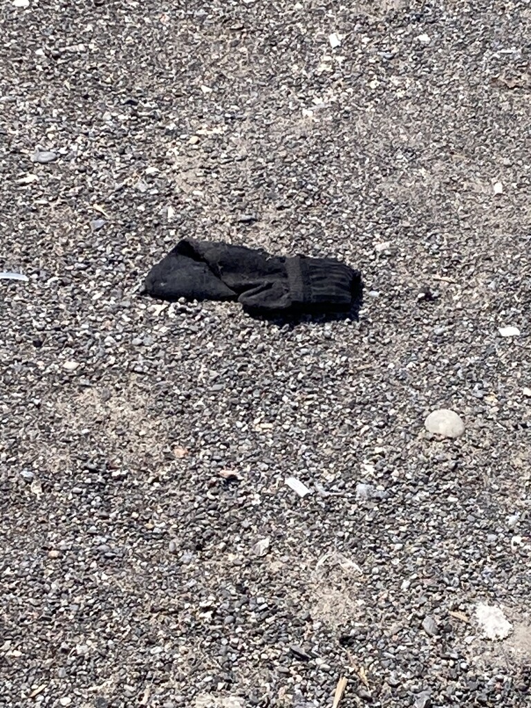Lost Sock Memorial Day by spanishliz