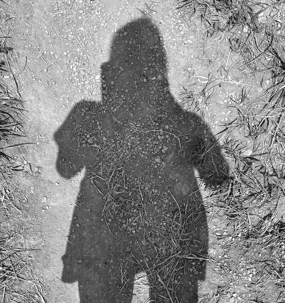 Shadow by sueschaar