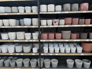 10th May 2026 - Hearts in a garden shop. 