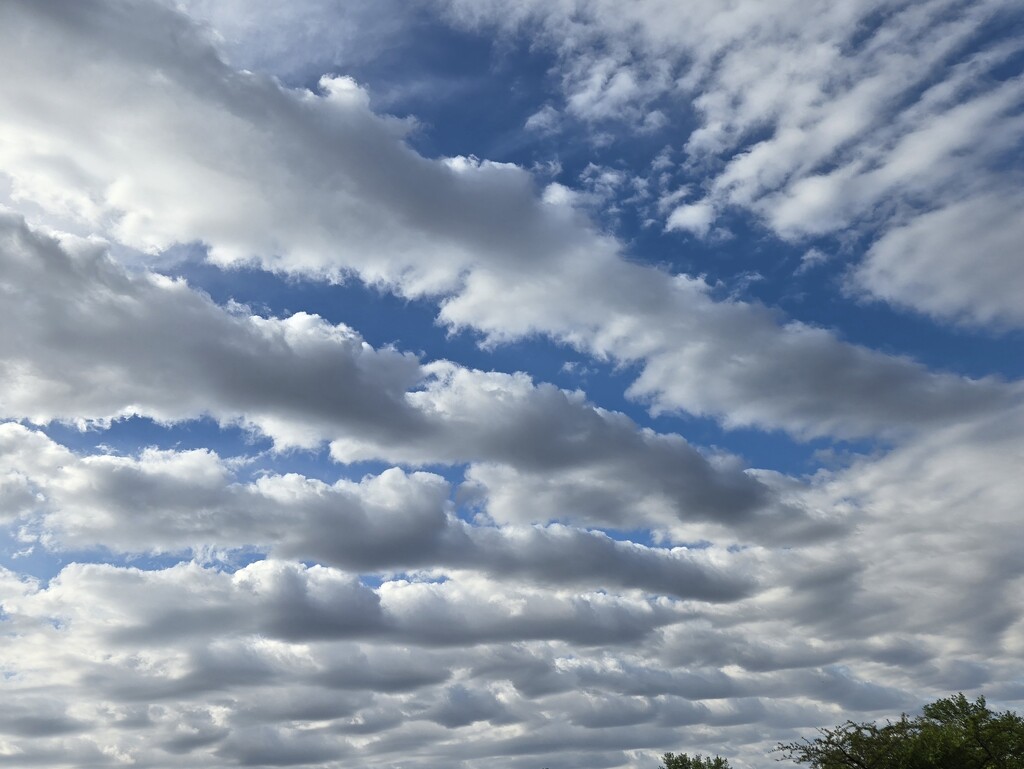 Planting rows in the sky by scoobylou