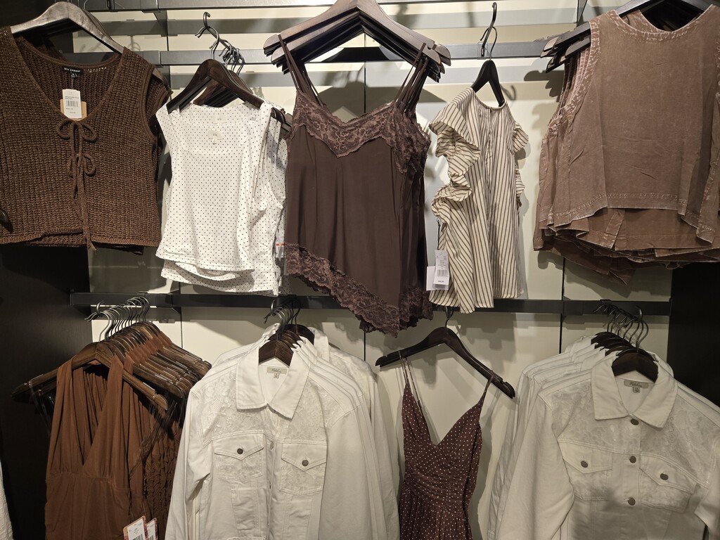 Brown by scoobylou