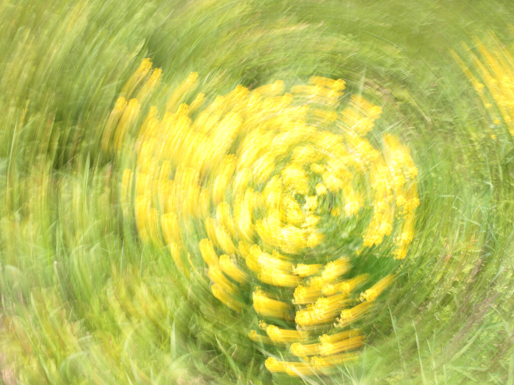 Yellow Rocket Liftoff! by juliedduncan