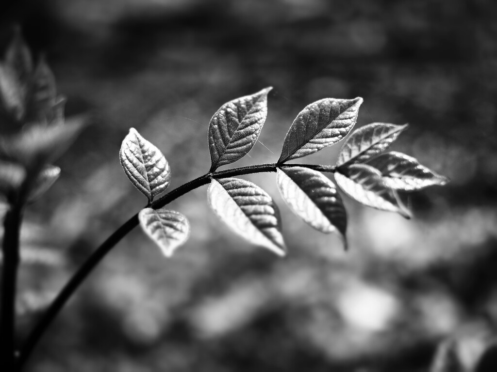 Just My Cup of Tea by juliedduncan
