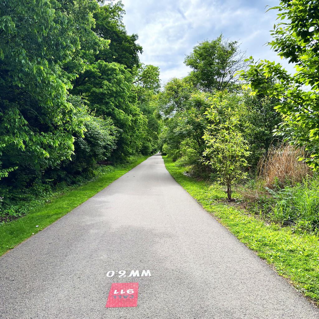 Walking Wasson Way by yogiw