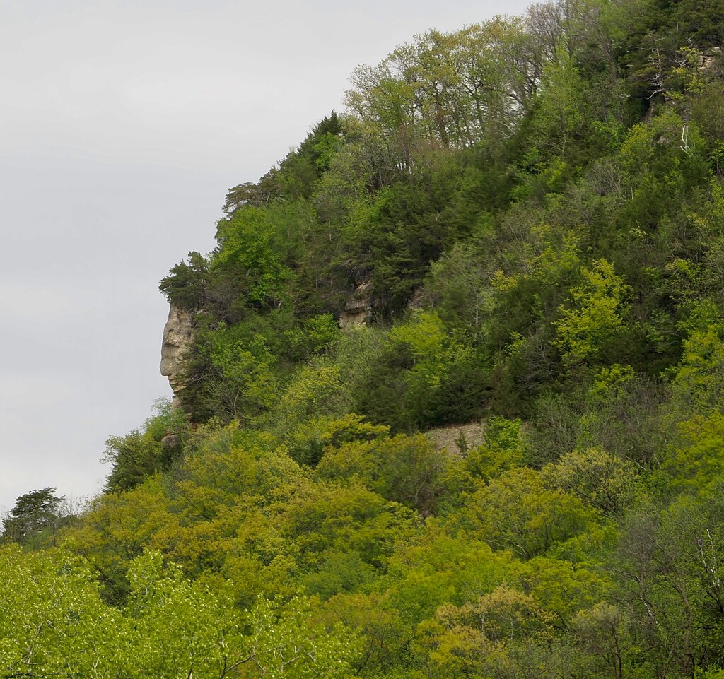 Wisconsin by vlc