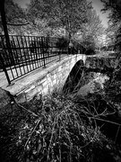 9th May 2026 - The Bridge