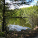 Supply Pond