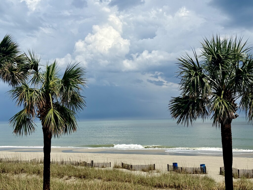 Empty Beach after Storm  by calm