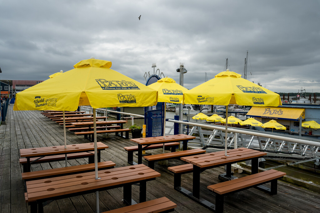 Yellow Umbrellas by cdcook48
