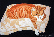 12th May 2026 - Bella the cat (acrylic painting)