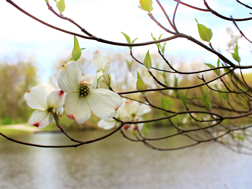 Bring on the Sun by juliedduncan