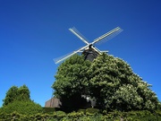 1st May 2026 - De Windhond Mill on a Sunny day - Woerden
