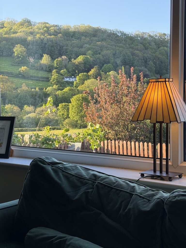 View from the lounge of Mulberrry Inn by scotlinx