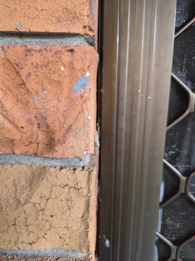 My Back Door  by mozette
