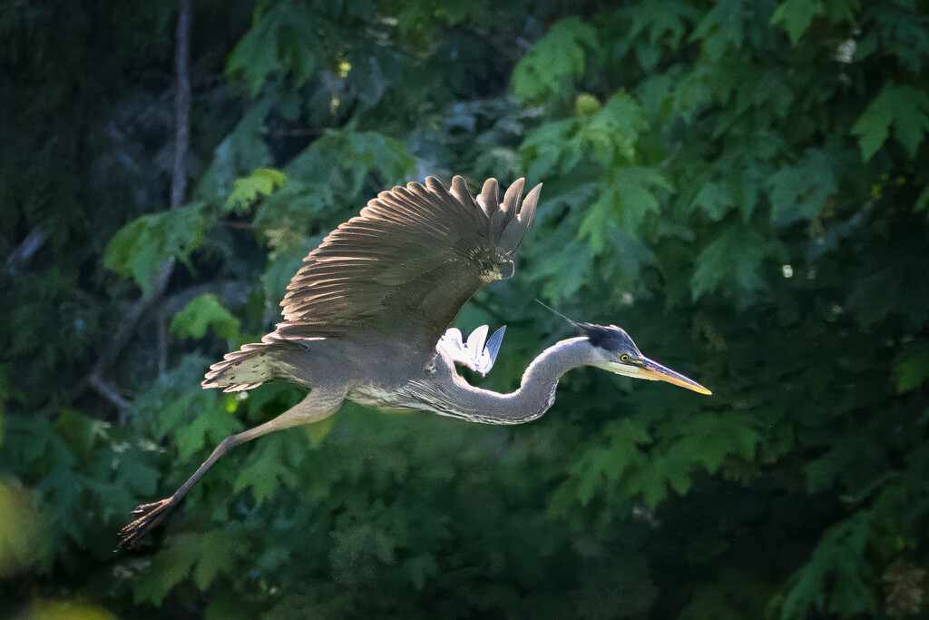 Heading off... by cdcook48
