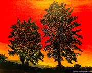 13th May 2026 - Sunset (acrylic painting)