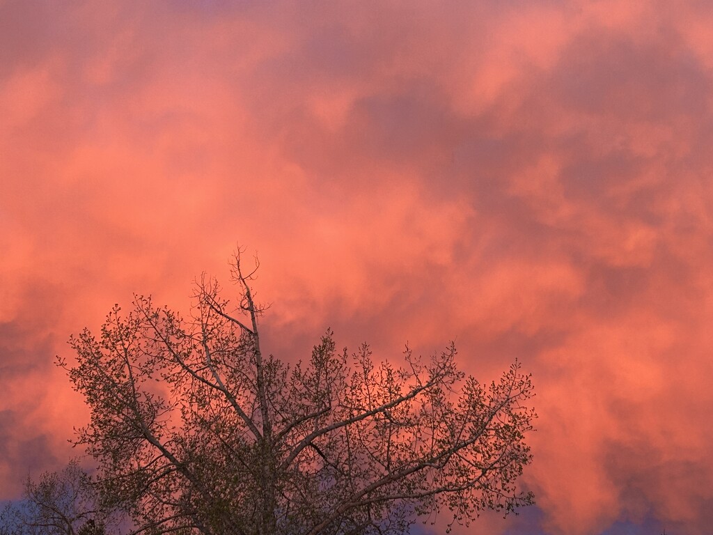 Early Morning Sky by sueschaar