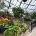 Conservatory - Botanical Garden