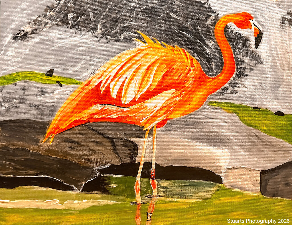 The flamingo (acrylic painting) by stuart46