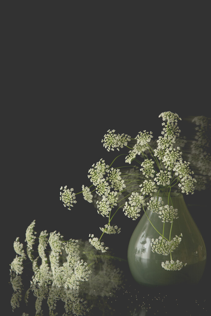 ICM double exposure by jackies365