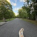 Walking Down the Block with Buffy