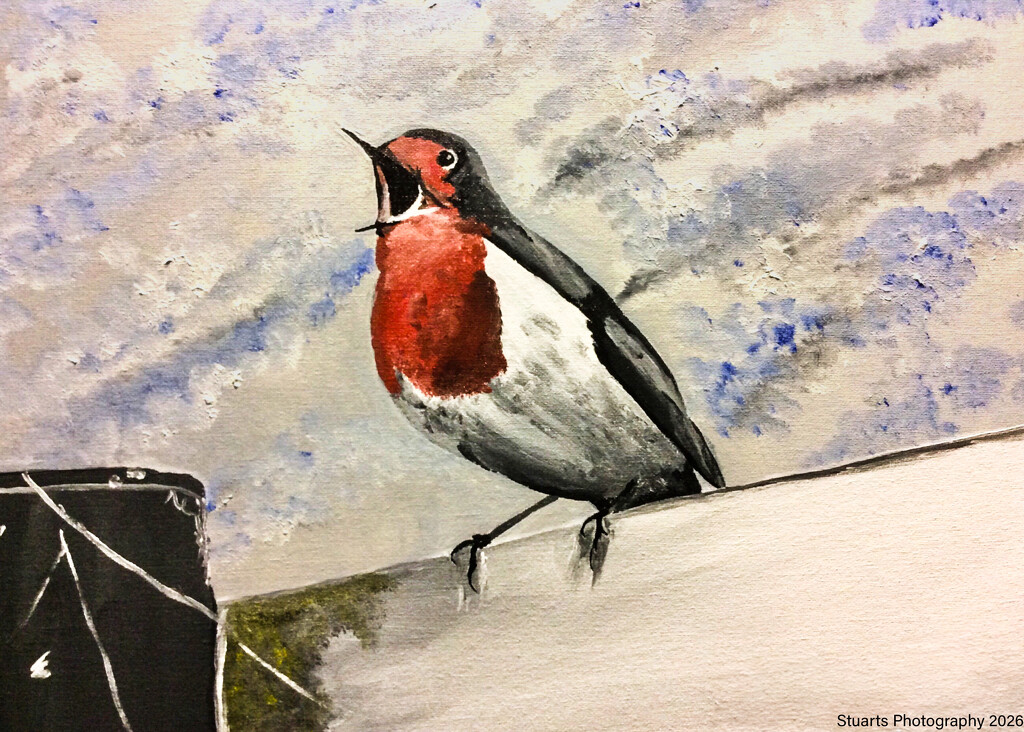European robin (acrylic painting) by stuart46