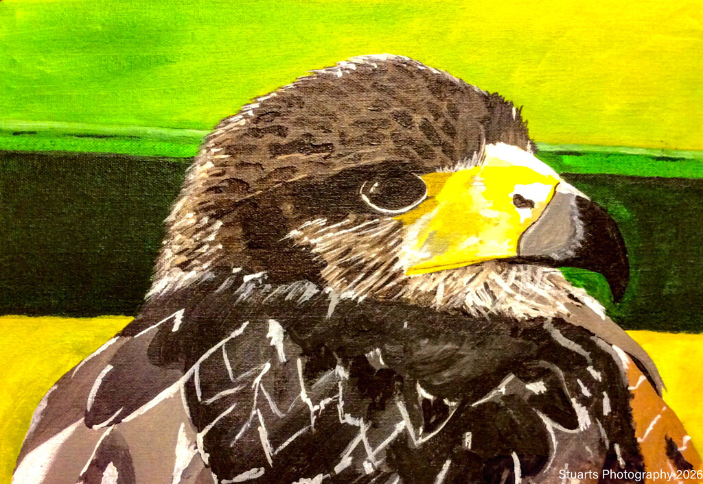 The buzzard (acrylic painting) by stuart46