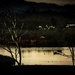 Te Huia Train Passing at Dawn