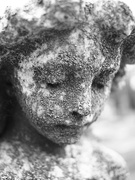 16th May 2026 - Grief Over Time