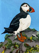 18th May 2026 - The Puffin (acrylic painting)