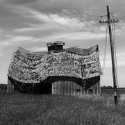 18th May 2026 - Warp and Weft