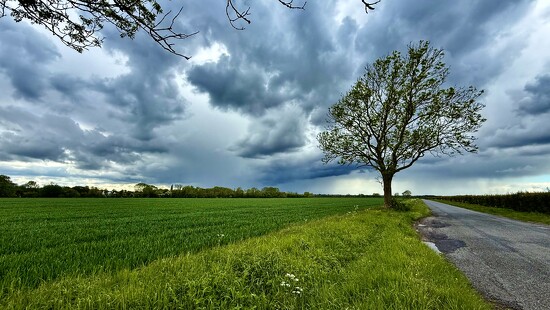 Looks like rain! on 365 Project