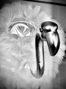 18th May 2026 - Light As A Feathered Lamp