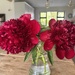 Peonies