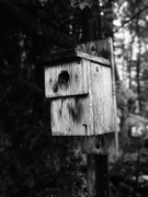 20th May 2026 - No Place Like Home