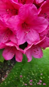 20th May 2026 - Rhodos