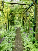 21st May 2026 - The Secret Garden
