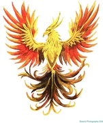 22nd May 2026 - The Phoenix (acrylic painting)