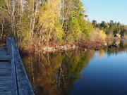 17th May 2026 - Ely mn