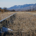 Looking down the Line 